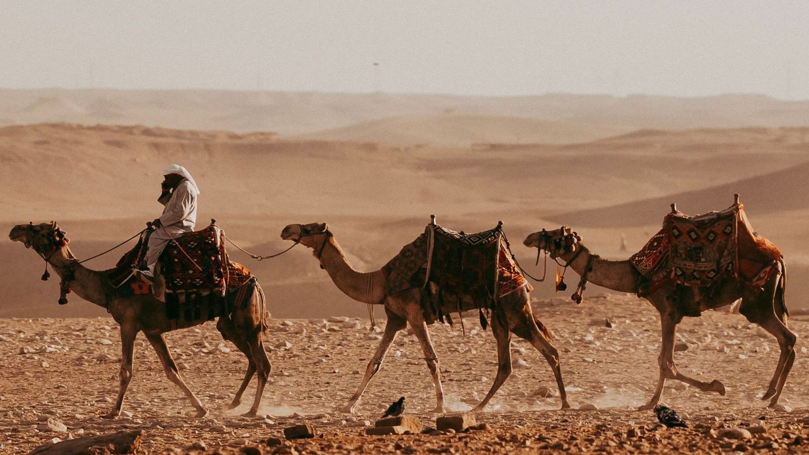 Egypt — luxury private travel with Allway Tour
