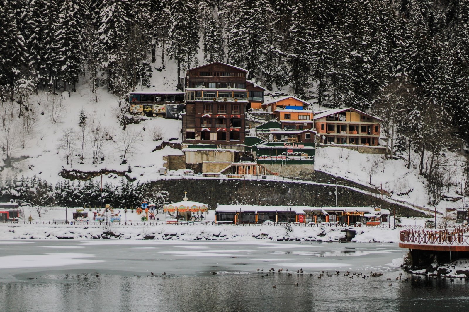 Private journey through Samsun, Ordu, Giresun, Trabzon, Rize, Ayder in Türkiye