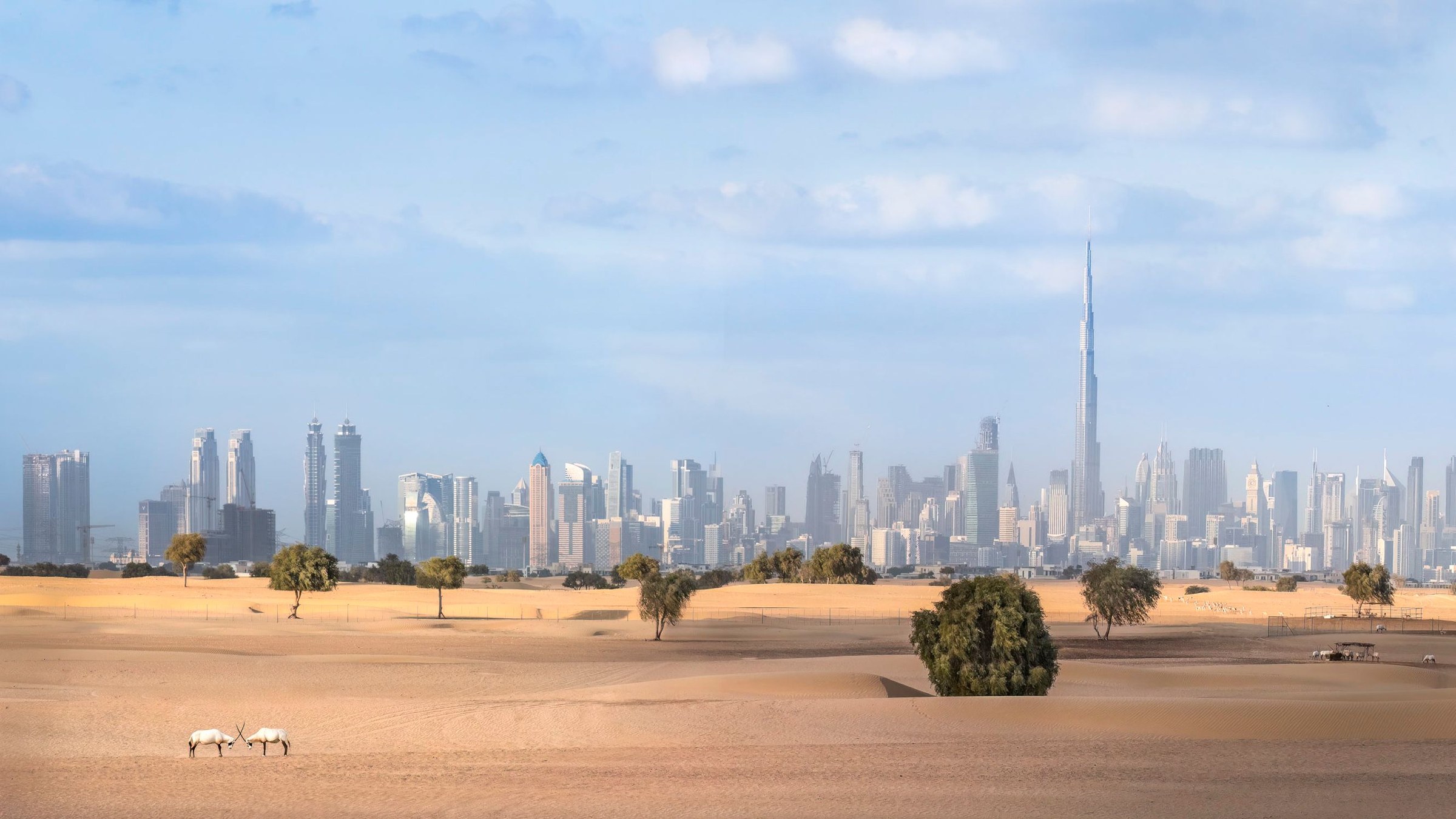 UAE — private tailor-made travel with Allway Tour