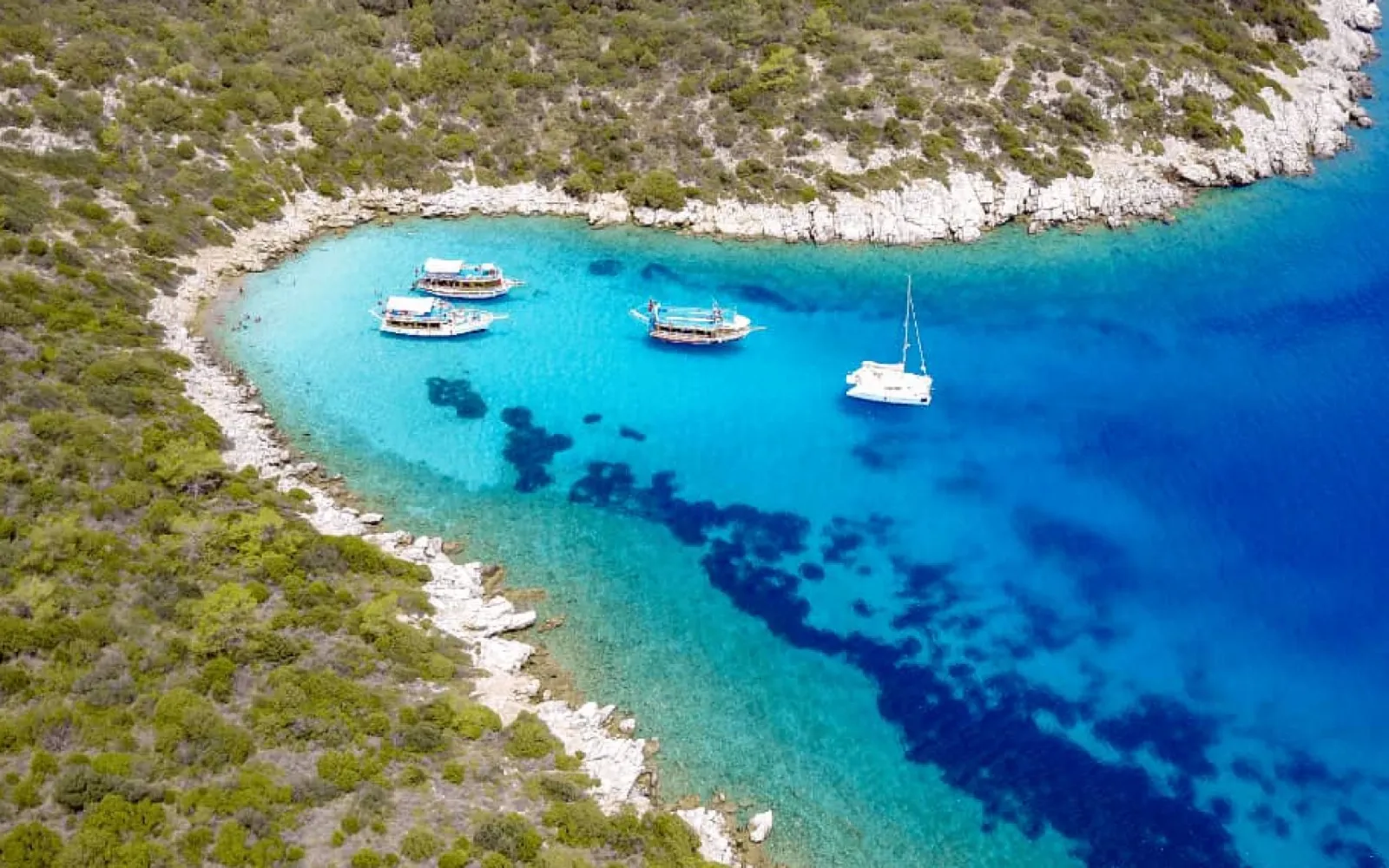 Orak Island Boat Trip — a popular private tour in Bodrum by Allway Tour