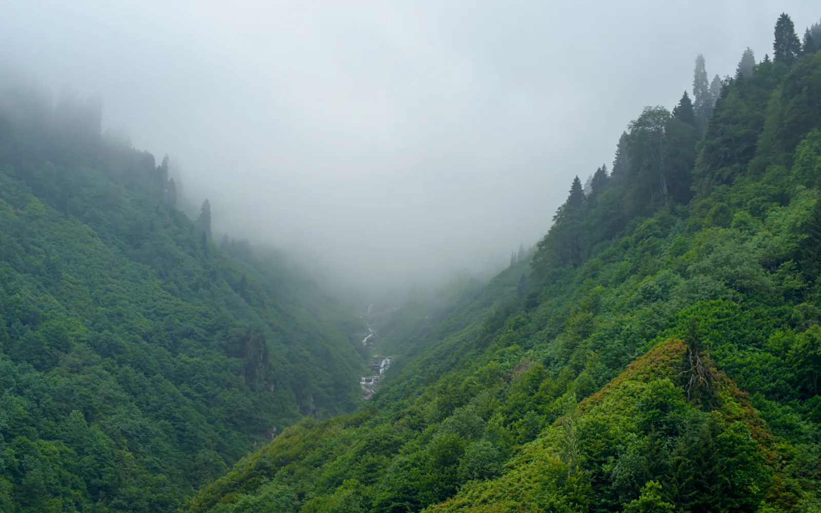 Ayder Plateau and Firtina Valley Tour — a popular private tour in Trabzon & Rize by Allway Tour