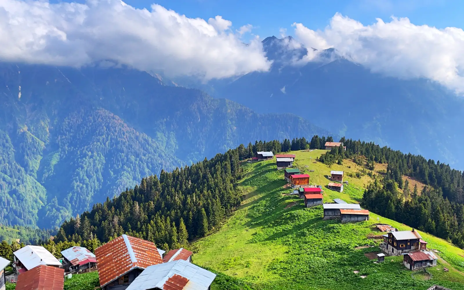 Pokut and Sal Plateaus Tour — a popular private tour in Trabzon & Rize by Allway Tour