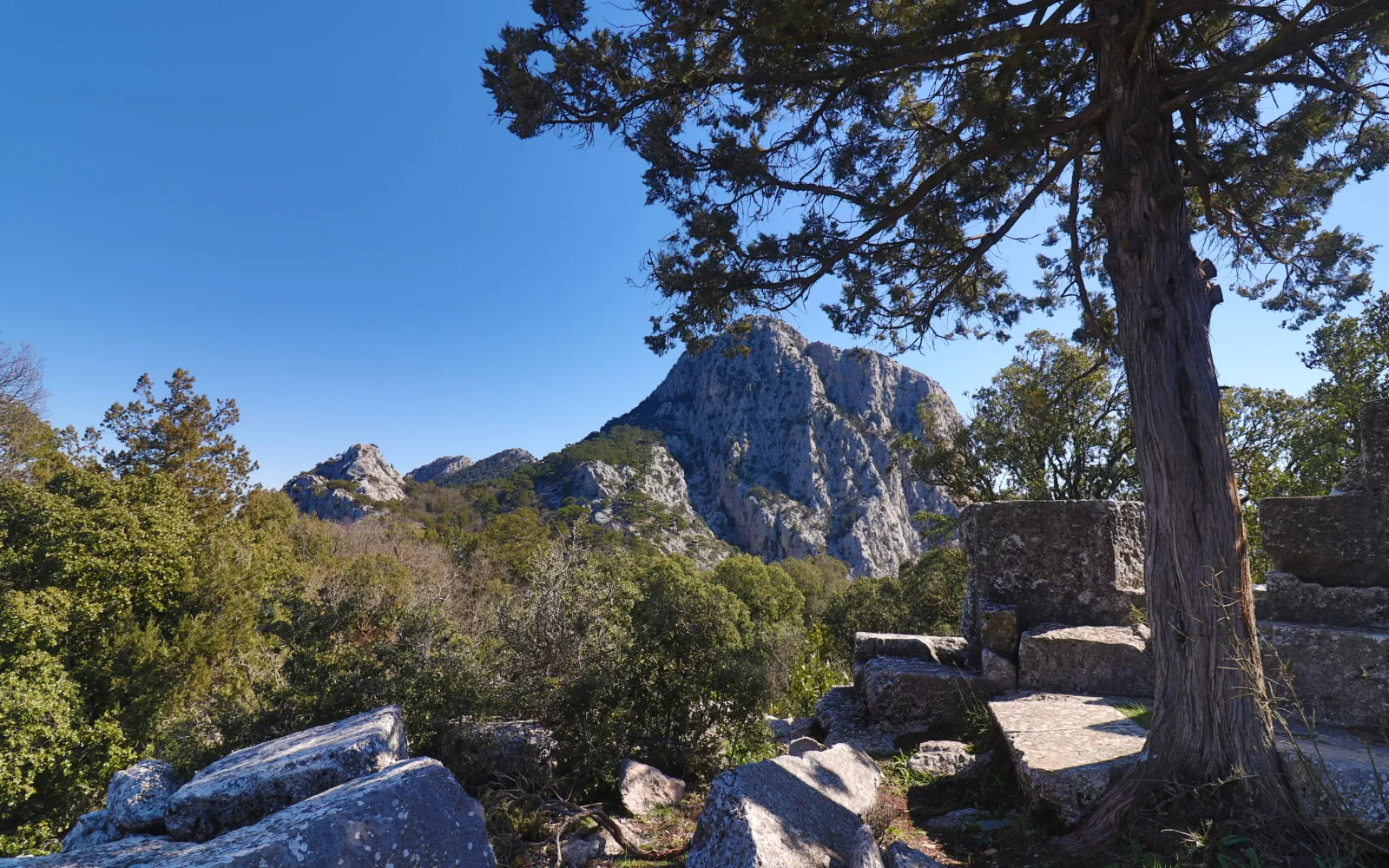 Ancient ruins of Termessos set among pine forest in the mountains above Antalya, Türkiye
